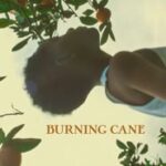 Burning Cane