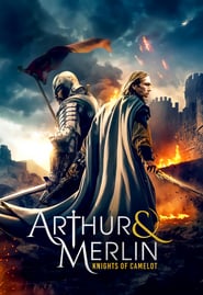 Arthur & Merlin: Knights of Camelot Dublado Online
