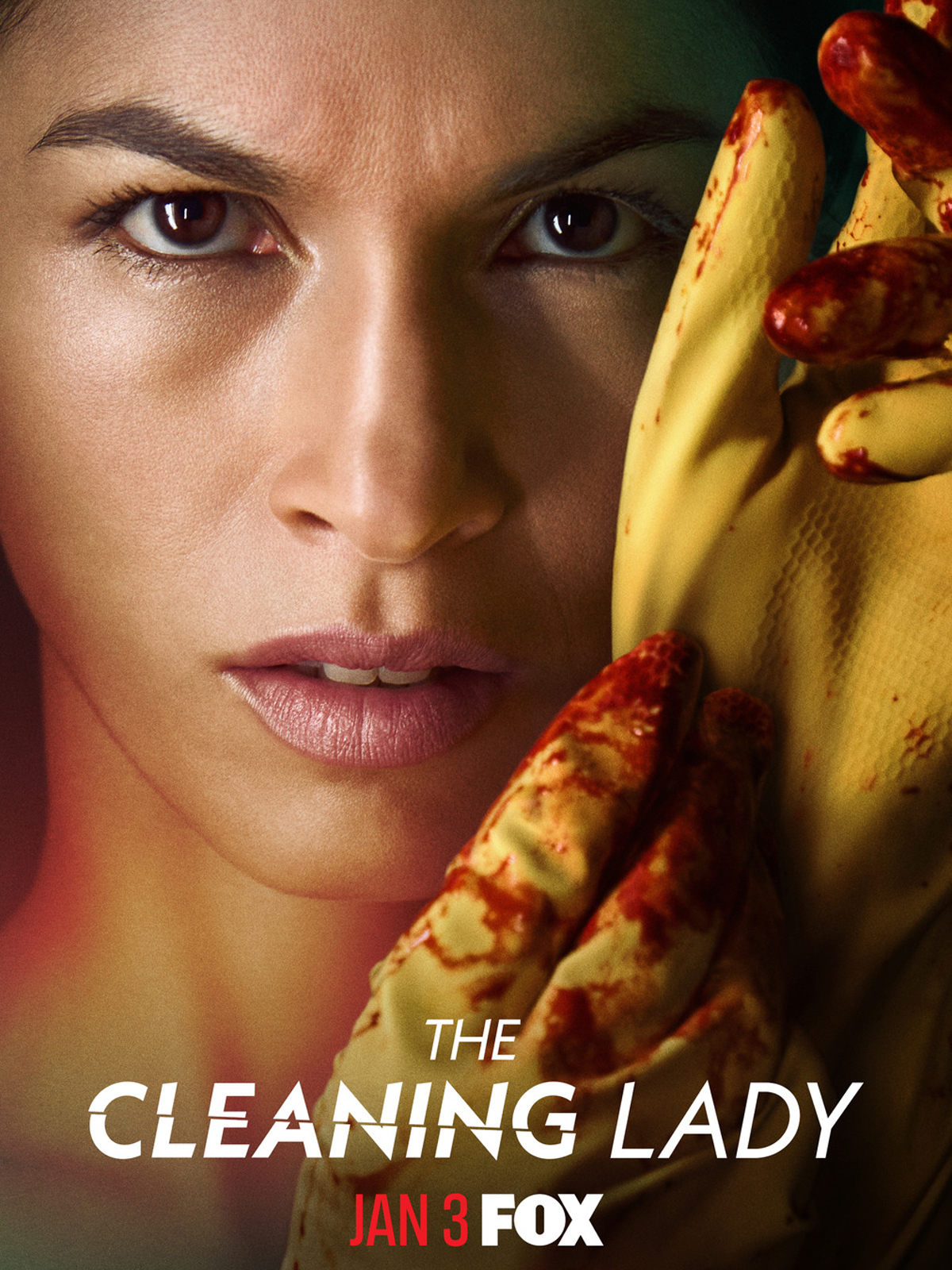 Assistir The Cleaning Lady Série Online