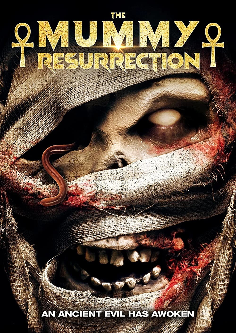 A Ressurreição da Múmia Dublado Online